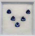 5 Faceted Benitoite Gemstones, Assorted Trillion Cuts, 3.0 - 3.5 mm, .76 ctw