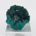 Dioptase, Reneville Mine, Pool Department, Republic of Congo