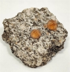 Grossular Garnet with Pectolite on Matrix Jeffrey Mine, Val-des-Sources, Quebec, Canada