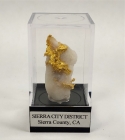 Gold in Quartz, Sierra City District, Sierra County, California 3.4 cm x 1.7 cm x 1.2 cm, 6.07 g