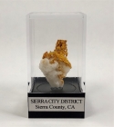 Gold in Quartz, Sierra City Dist., Sierra Co., CA, 28.4 mm x 18.6 mm x 5.4 mm, 3.04 g