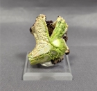 Phosphohedyphane over Cerussite on Copper, M'fouati, Bouenza Dept., Republic of Congo