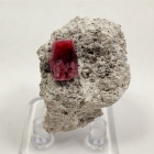 Beryl var. Red Beryl, on Rhyolite Matrix, Wah Wah Mountains, Beaver County, Utah